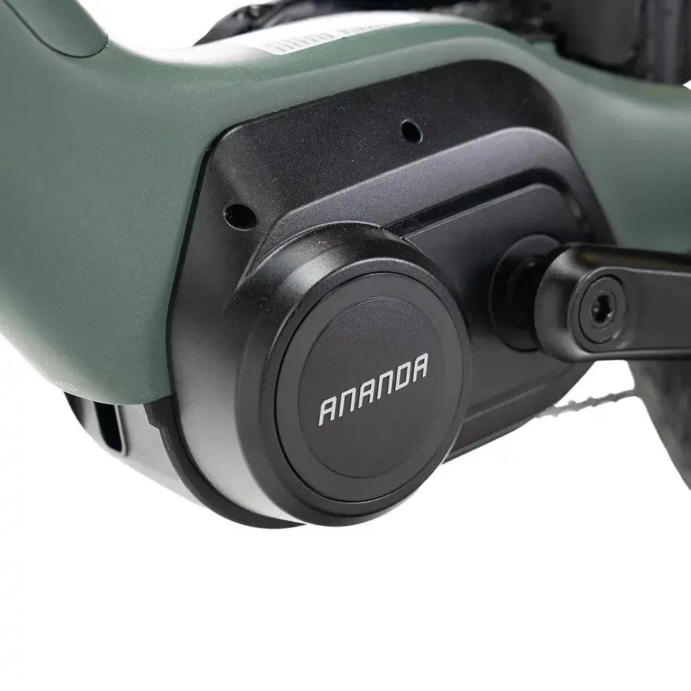 ENGWE Mapfour N1 Pro - Grøn