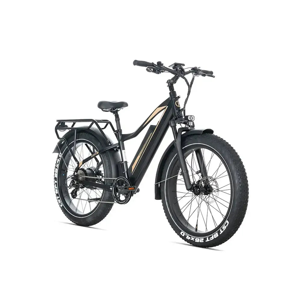 JOBOBIKE Robin Pro - Sort-guld