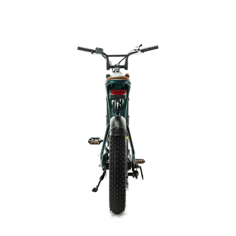 ENGWE M20 - Dobbelt Batteri - Grøn