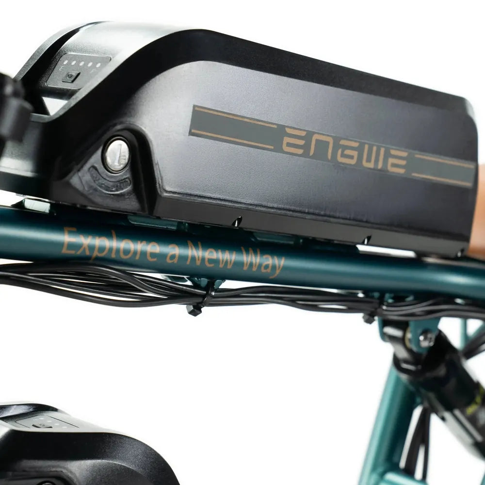 ENGWE M20 - Dobbelt Batteri - Grøn