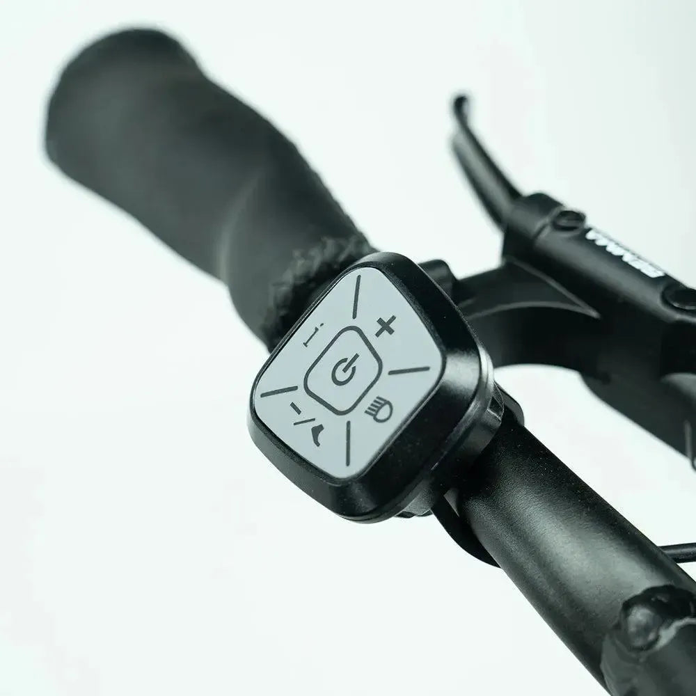 JOBOBIKE Transer - Longtail - Grøn