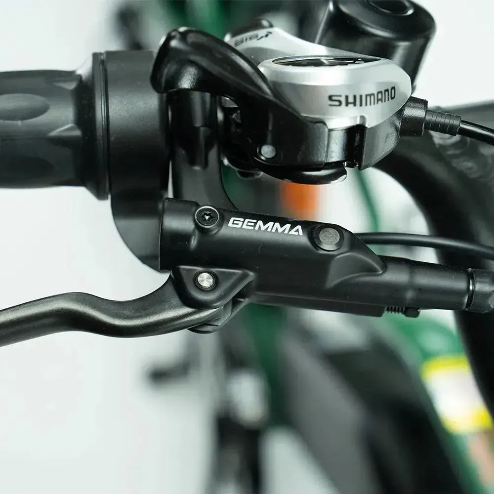 JOBOBIKE Transer - Longtail - Grøn