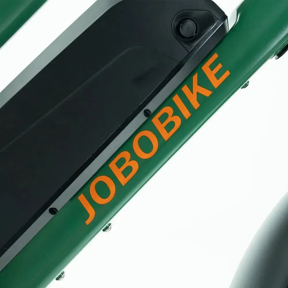 JOBOBIKE Transer - Longtail - Grøn