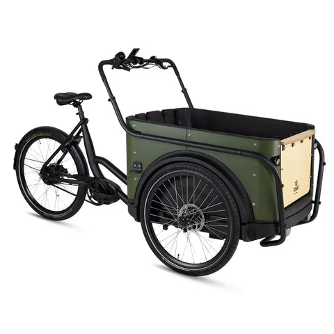 Royal Cargo Bike 3W Premium Plus - Grøn