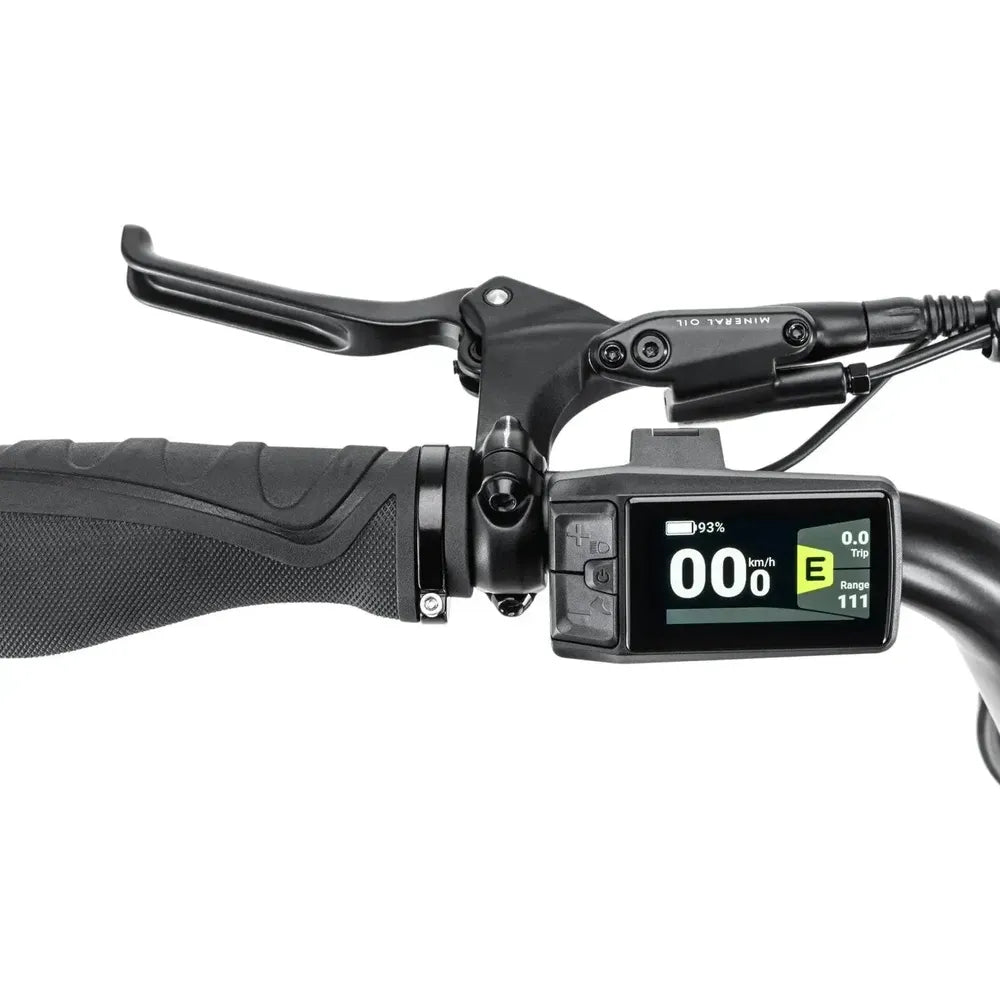 STOER Bikes Urban X - Grøn